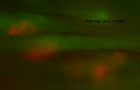 Waves of Calcium release at the neuromuscular junction following application of NMDA. Acetylcholine receptors are red and calcium waves in green.