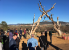 A wide view of people gathered at the dedication of "Life Support" exhibit. 