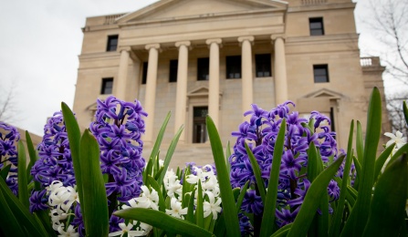 Hyacinths bloom outside Abbott Hall on south campus in late April 2019. 