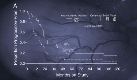 A graph showing data points throughout months of a study. 