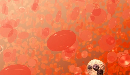 Red Blood Cells Illustration This is a field of blood cells. The bi-concave disks are red blood cells or erythrocytes. The white cell with the dark purplish, multi-lobed nucleus is a neutrophil, a type of white blood cell or leukocyte. The smaller spikey objects are platelets. Credit: National Institutes of Health. 