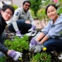 Three diverse students gardening. 