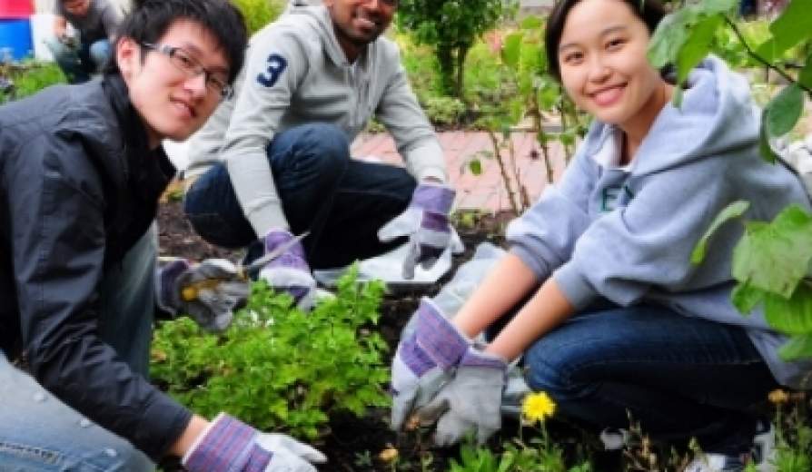 Public Health and Health Professions - University at Buffalo