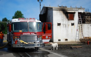 truck dog and building. 