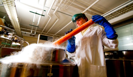 Research in a cold storage area. 