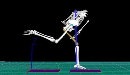 Biomechanics digital capture. 