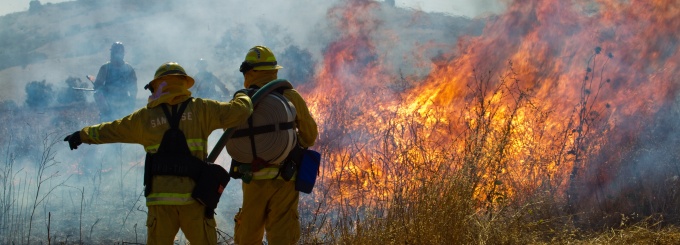 Wildland firefighters fighting grass fire. 
