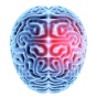 Brain with concussion areas highlighted. 