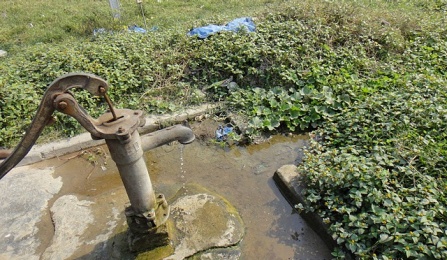 water. 