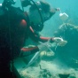 Scuba diving. 
