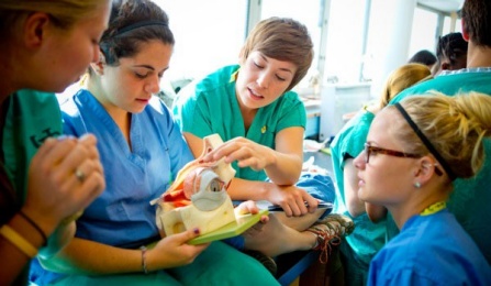 Students in gross anatomy lab. 