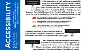 Accessibility features found in Brightspace. 