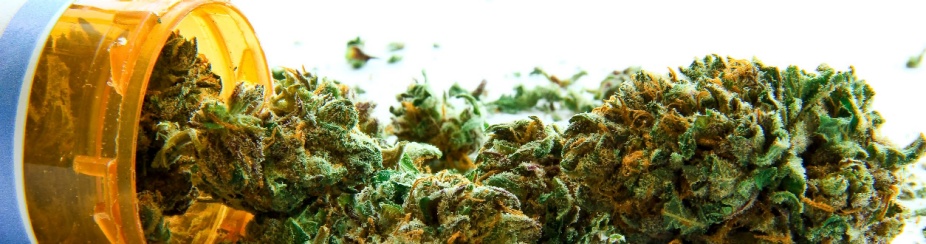 Cannabis spilling out of a pill bottle. 