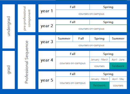 Zoom image: This table maps the five years of the UB OT BS/MS program. The first two years are the pre-professional Undergraduate sequence and consist entirely of on-campus coursework. The third-year is still undergraduate but the first year of the Professional sequence. The fourth and fifth years are part of the graduate programs and are made up of a mix of on-campus coursework and off-campus full-time fieldwork rotations. 