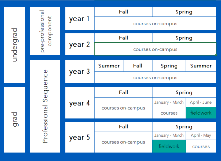 Table mapping the five years of the UB OT BS/MS program. 
