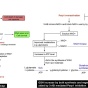 Zoom image: Flowchart illustrating the various stages of using chemicals to inhibit PARP1, which increases anti-oxidant levels in cells, possibly due to the increased production of GCLC and GSH enzymes. 